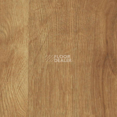 Ламинат Haro Daily Edition 8 mm 541346 Дуб Калла Натур фото 1 | FLOORDEALER